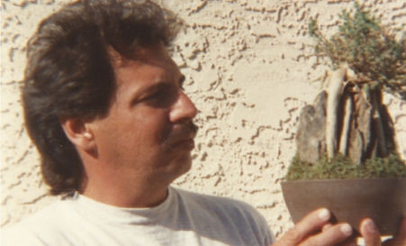 Bonsai trees for sale