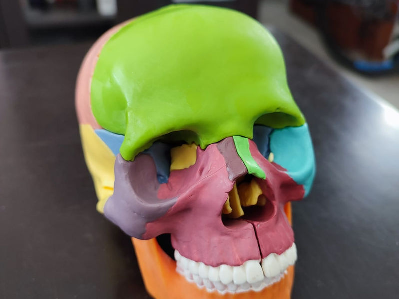 WhatsApp Image 2022-04-04 at 9.58.58 PM.jpeg