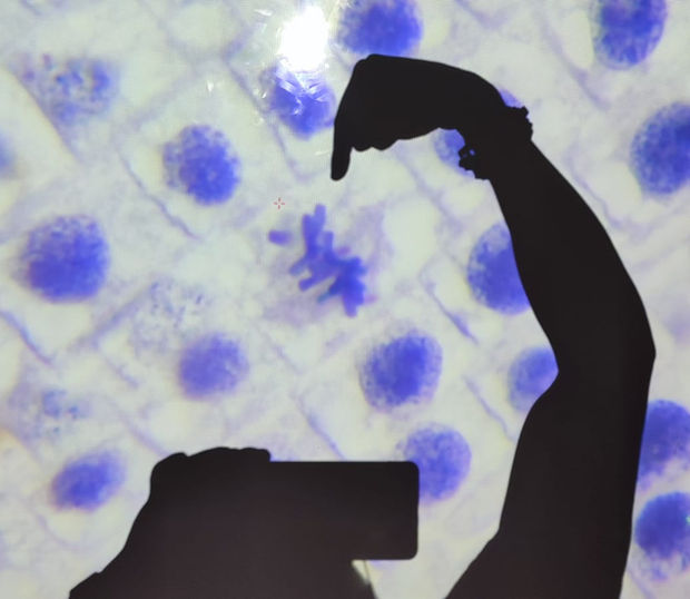 WhatsApp Image 2022-08-12 at 9.19.37 AM.jpeg