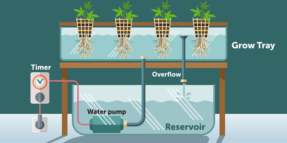 Ebb & Flow Cultivation