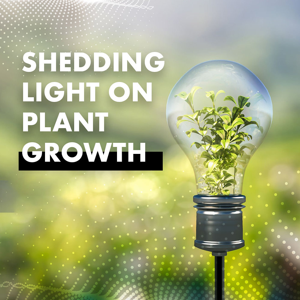 Understanding the Importance of Wattage in Grow Lights Shedding Light