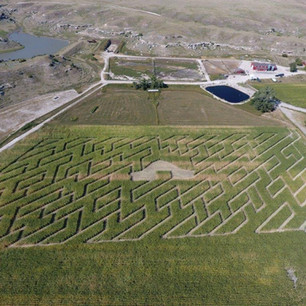 2017 Maze