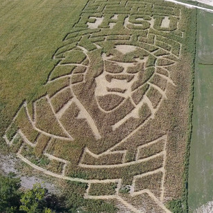 2018 Maze