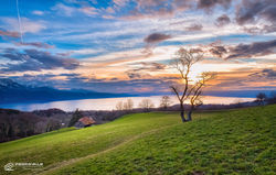 _PSV5606-Editar2019PDS_MONT_PELERIN_08