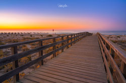 _PVZ3977-EditarNDS_MANTA_ROTA_08