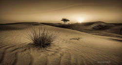 -Final de Tarde nas Dunas--7