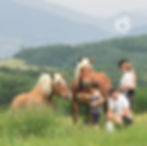 Drôme Nomade : là où l’essentiel devient évident.