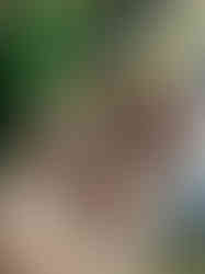 85BE1BCD-1C31-4185-AD8A-E8F91C36689C_1_105_c.jpeg