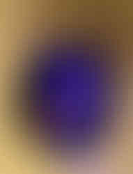 IMG_9096.jpeg