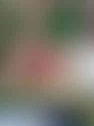 A4242019-0B36-4C10-924D-A52340C1EBC5_1_105_c.jpeg