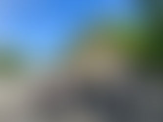 JENESYS2025 派遣プログラム2026年3月14日