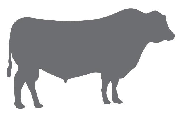 vaca.gif