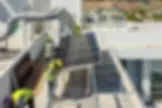 ree