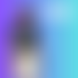 Summer Workforce Training Recap