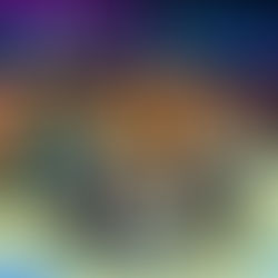 Summer of Music: Teacher Edition