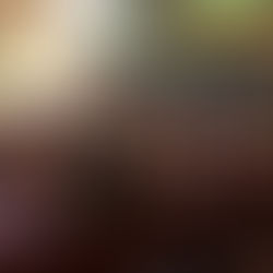 NEC Presents Touring Children's Opera