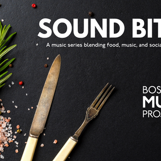 Sound Bites Series