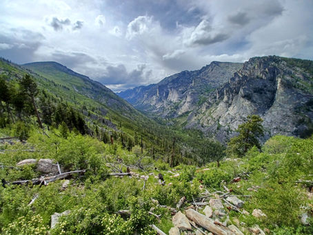 [Essay] Don Quixote’s Bear Spray