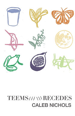 Teems Cover.jpg