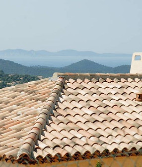 20090611_165250_terrealcorse.jpg