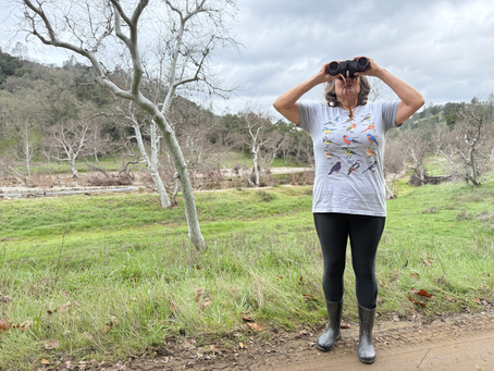 Bird Mania Chronicles