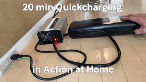 giphy1.gif