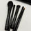Thumbnail: Estillo 5 Piece Makeup Brush Set