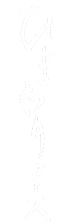 ひまわりコースメニューWEB_タイトル.png