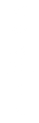 菊花コース_2023_10.png