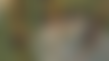 Megvan a lazactenyésztés (újabb) Szent Grálja!