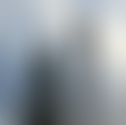 A britek szerint a norvég karácsonyi fenyő vékony és kicsi