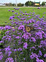 edit_IMG_3150-2.jpg