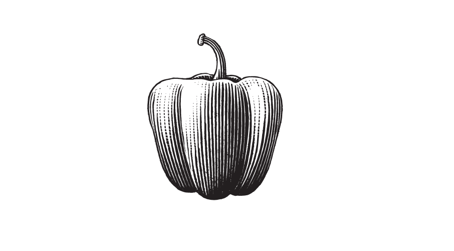Icon-13.png