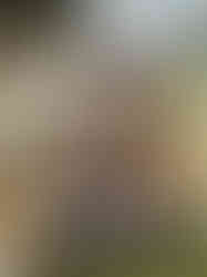 Decorative pillar candles