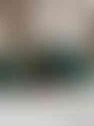 Christmas tree-shaped candles