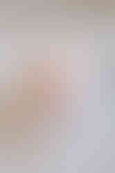 Wildlife-inspired candles