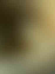 Modern sculpted candles