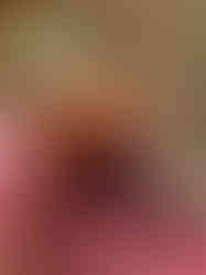 Artisan Soy Wax Melts