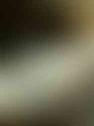 Decorative sculptural candles