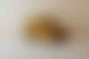 Novelty shaped candles