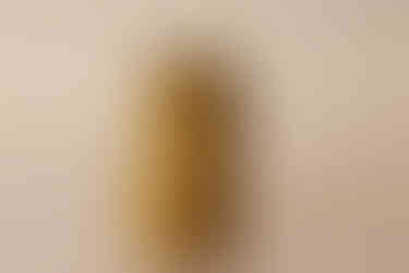 Handmade animal candles