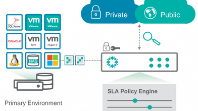 What is Rubrik