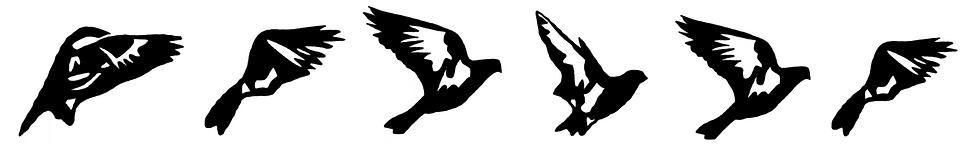 2020-05-15 (2).png