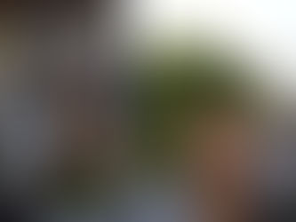 The Importance of Transparent Pricing in London Removals