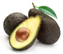 shutterstock_100322618hass_avocado.webp