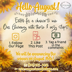 Part 2 - Aug Sale Anc details-1.png