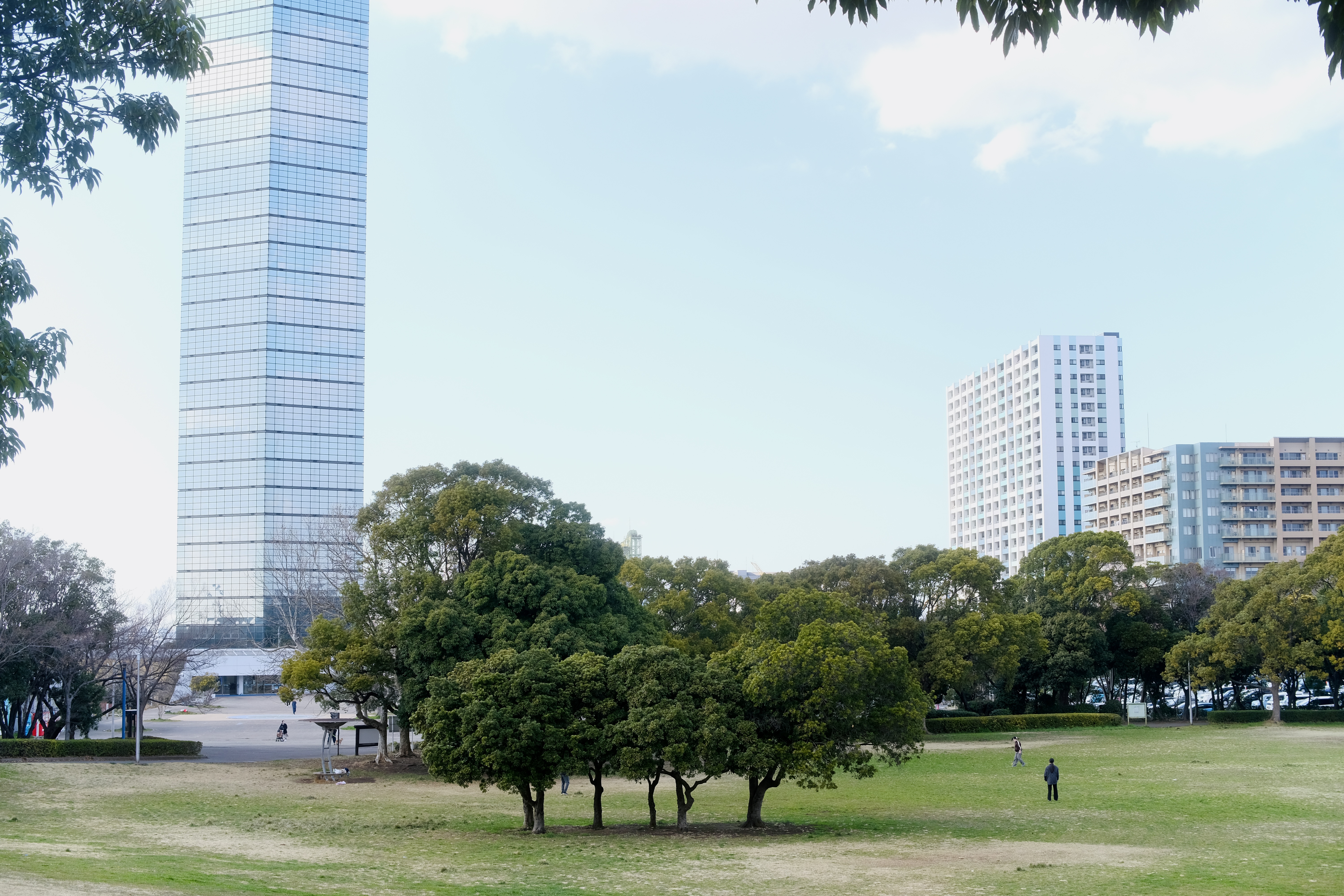 千葉ポートパークの芝生とポートタワー