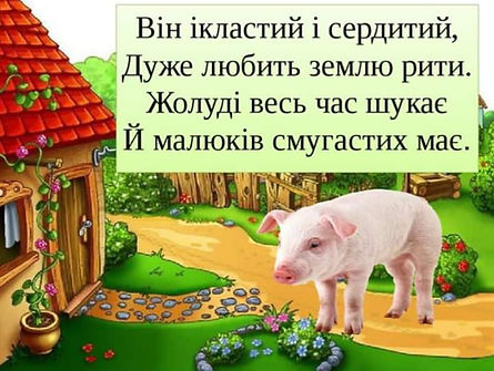 FB_IMG_1585859513806.jpg