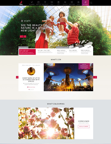 DP00-1-homepage 3.jpg