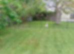 IMG_20250523_174859_866